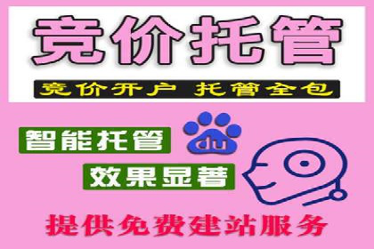 某电商平台的成功信息流代运营策略